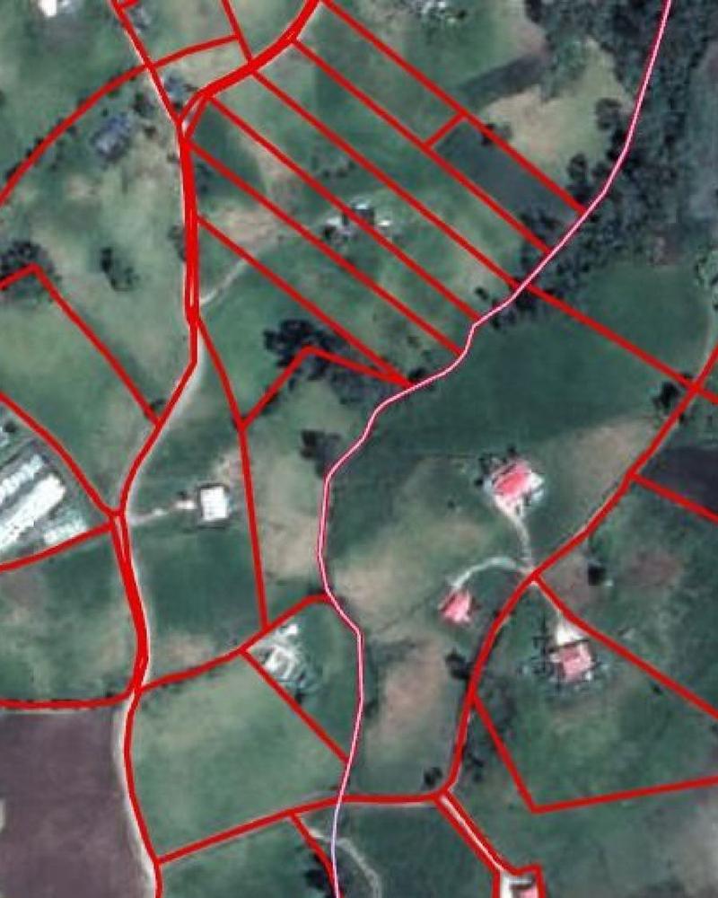 Orthophoto avec le réseau de voies
