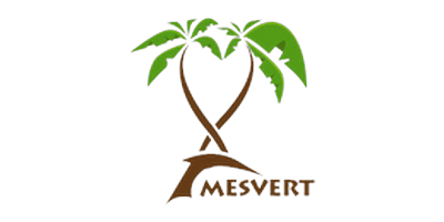 Logo MESvert – Client Hexagon Geosurveys