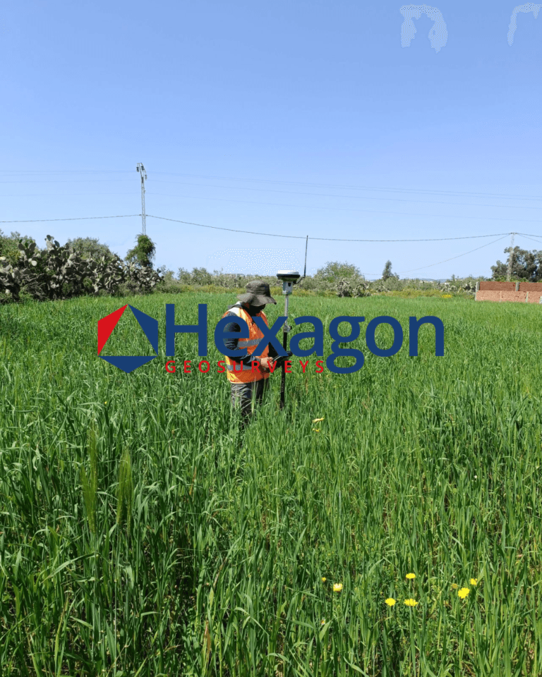 Levé GNSS RTK d'une parcelle agricole — Hexagon GeoSurveys, Ingénieur Géomètre Topographe